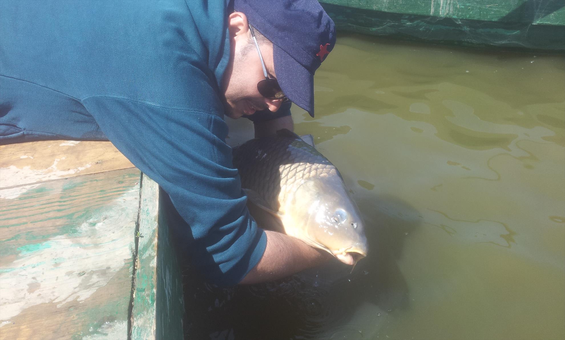 Moara Vlasiei 2, 3 mai 2014 - 20140503131434.jpg